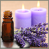 Mobile Aromatherapy Services, Cambridge, Ely, Newmarket